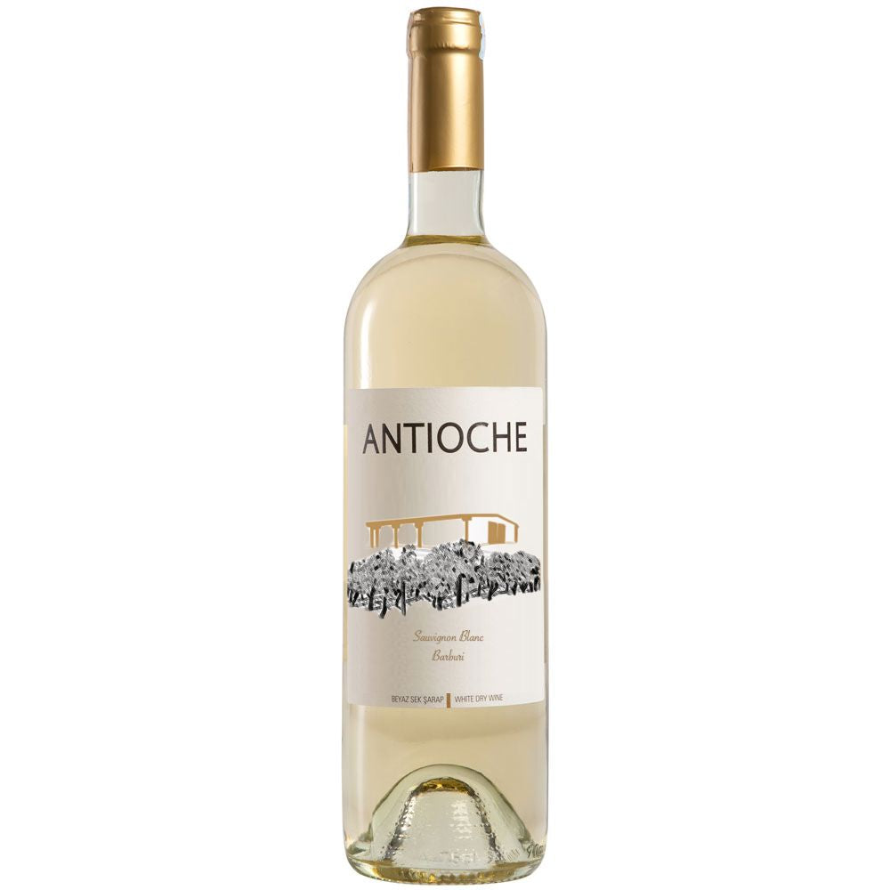 Antioche Sauvignon Blanc & Barburi