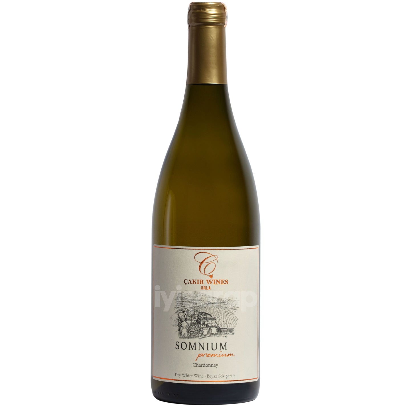 Çakır "Somnium" Premium Chardonnay