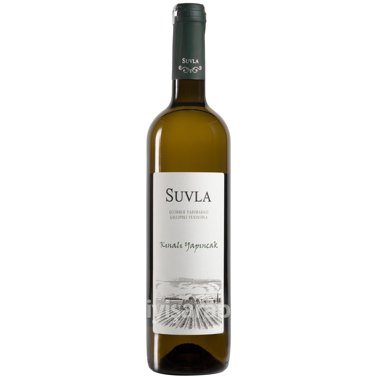 Suvla Kınalı Yapıncak