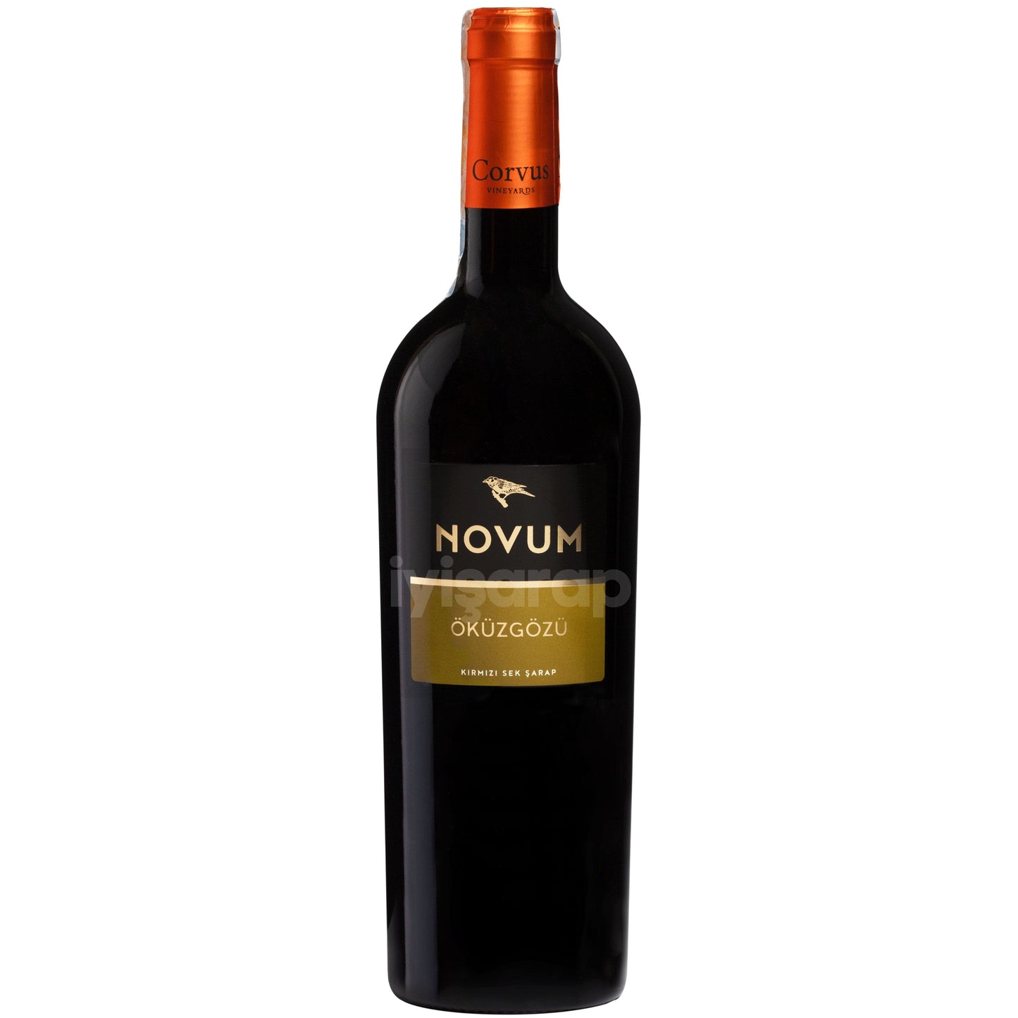 Corvus Novum Öküzgözü