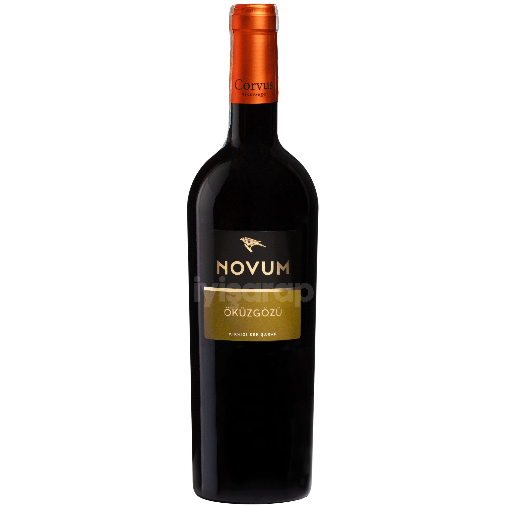 Corvus Novum Öküzgözü