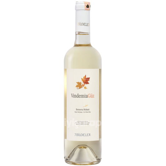 Yedi Bilgeler Vindemia Güz