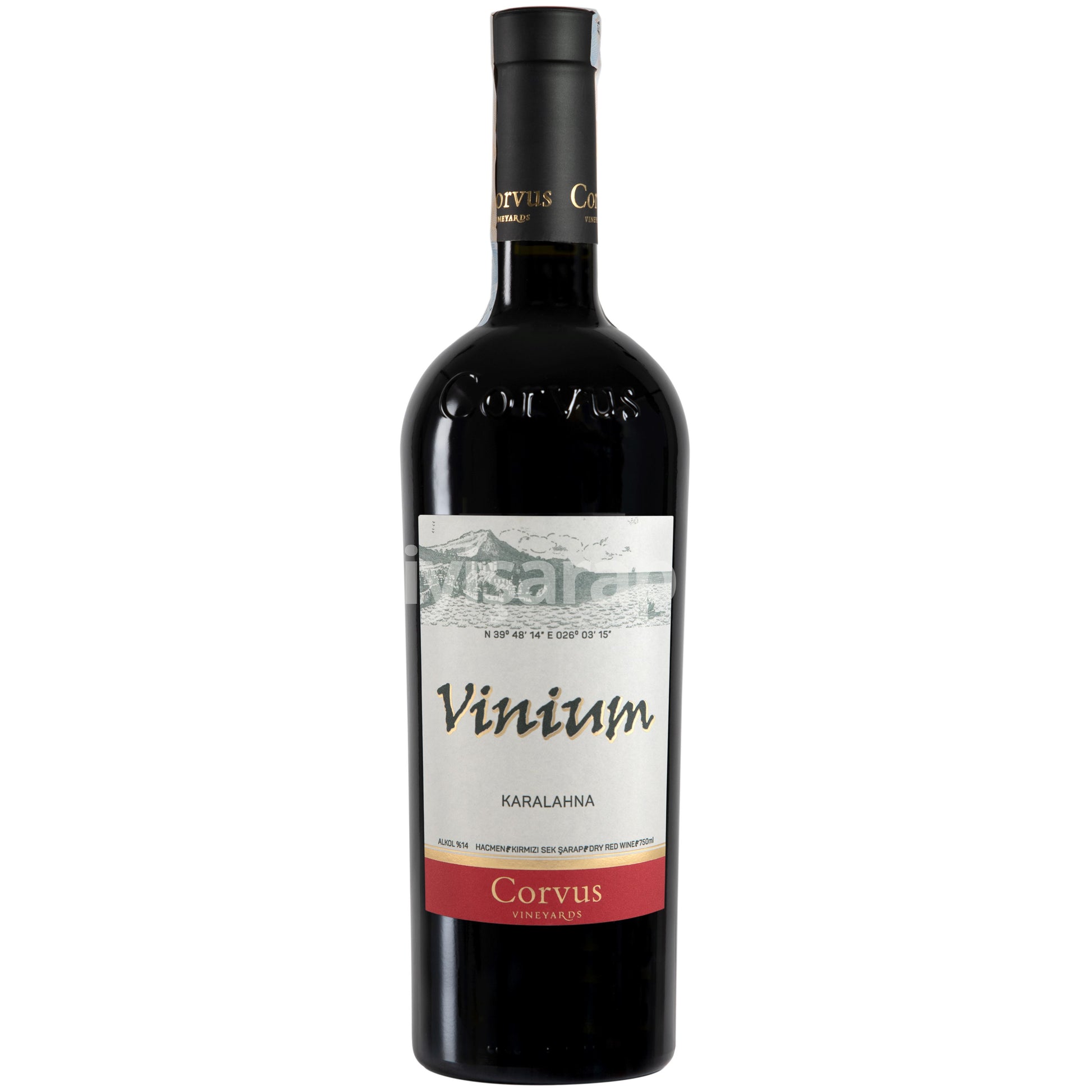 Corvus Vinium Karalahna