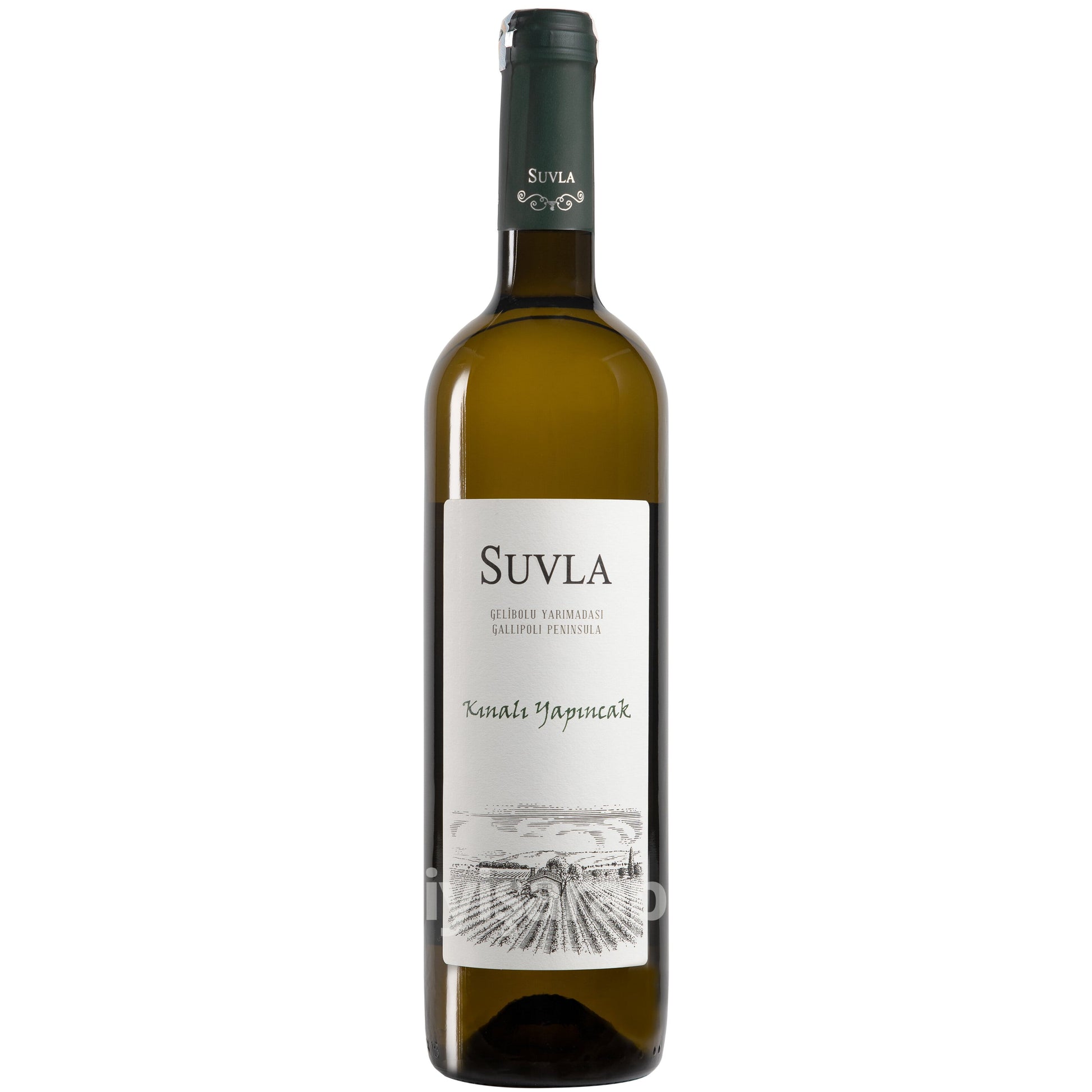 Suvla Kınalı Yapıncak